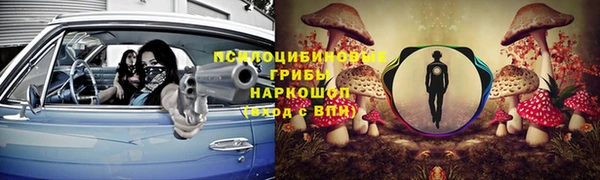 трава Алексин
