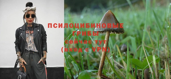 трава Алексин